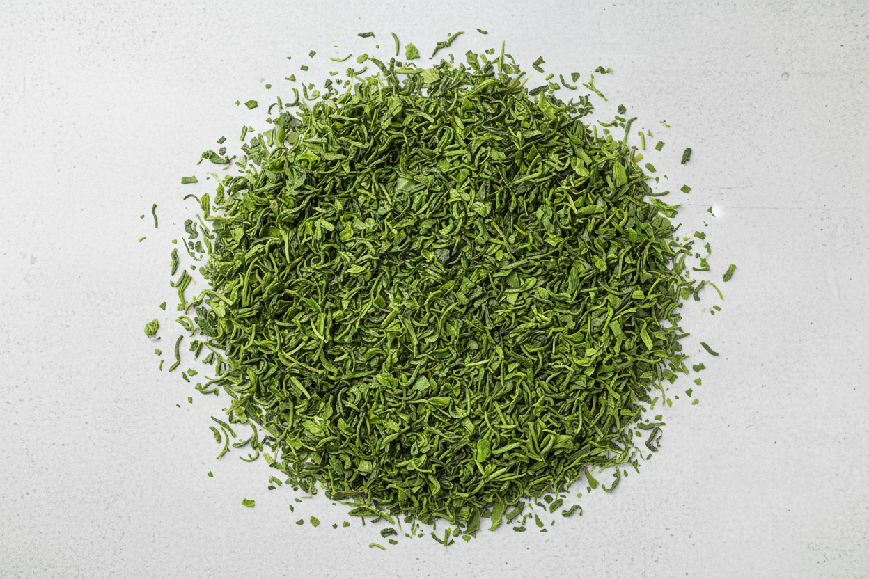 esta mejor, pero quiero que este relleno por dentro y el círculo aún menos marcado